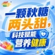 第115届南京秋季糖酒会，金陵金秋，食饮新航程，乘风破浪